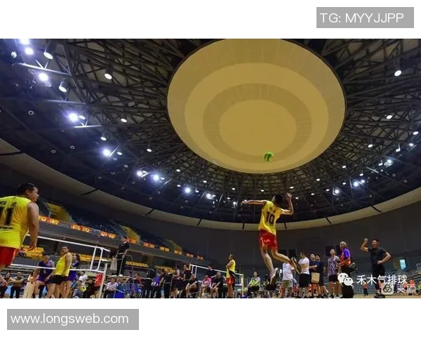 成都排球队阵地战体系解析与战术创新探讨